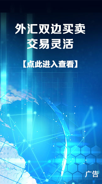 外汇双边买卖交易灵活